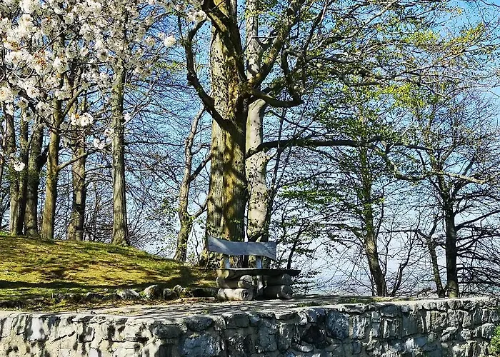 Ferienhaus Waltersdorf