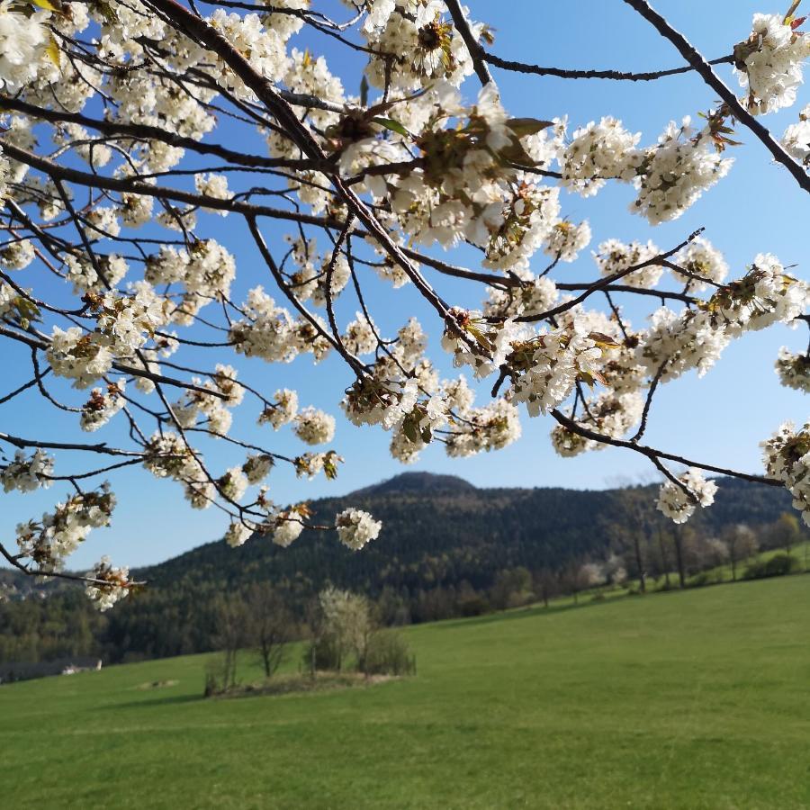 Holiday home Waltersdorf