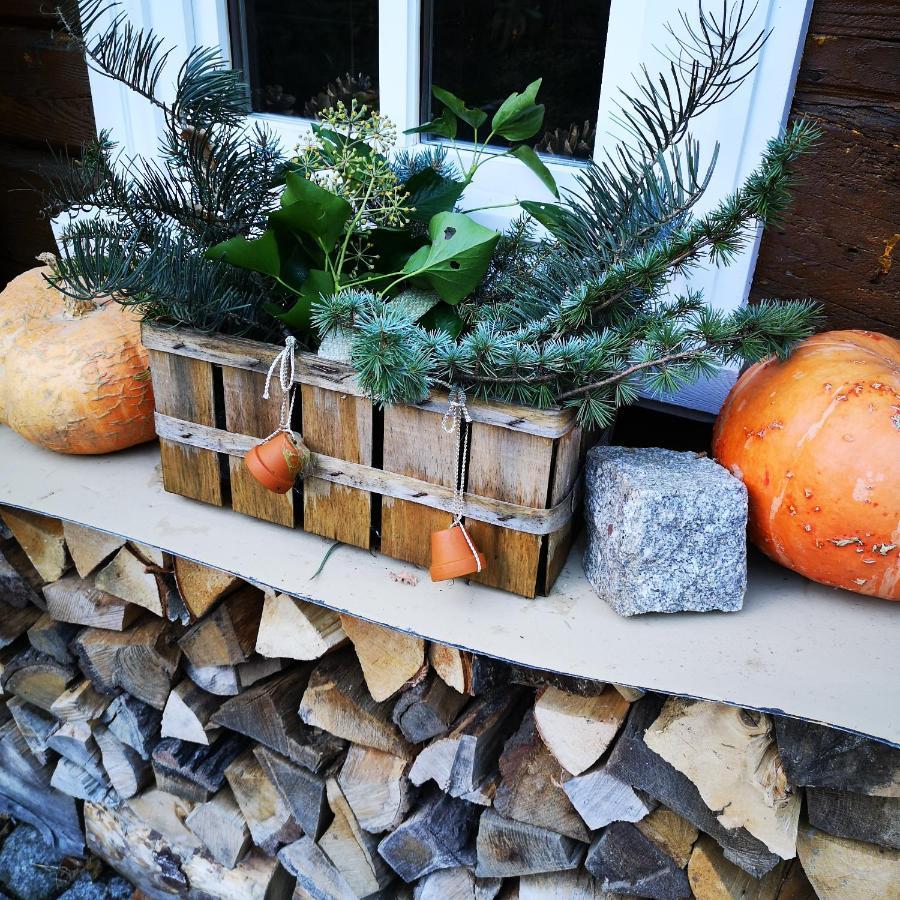 Waltersdorf Holiday home Grossschoenau